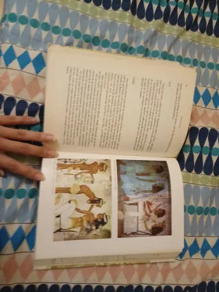 Historia Del Mundo Antiguo / Ancient World Hist...