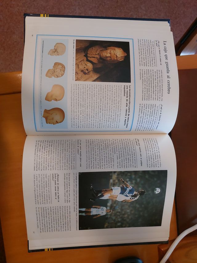 ABC DEL CUERPO HUMANO