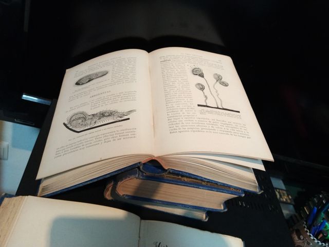 Lote libros Ramón Sopena 