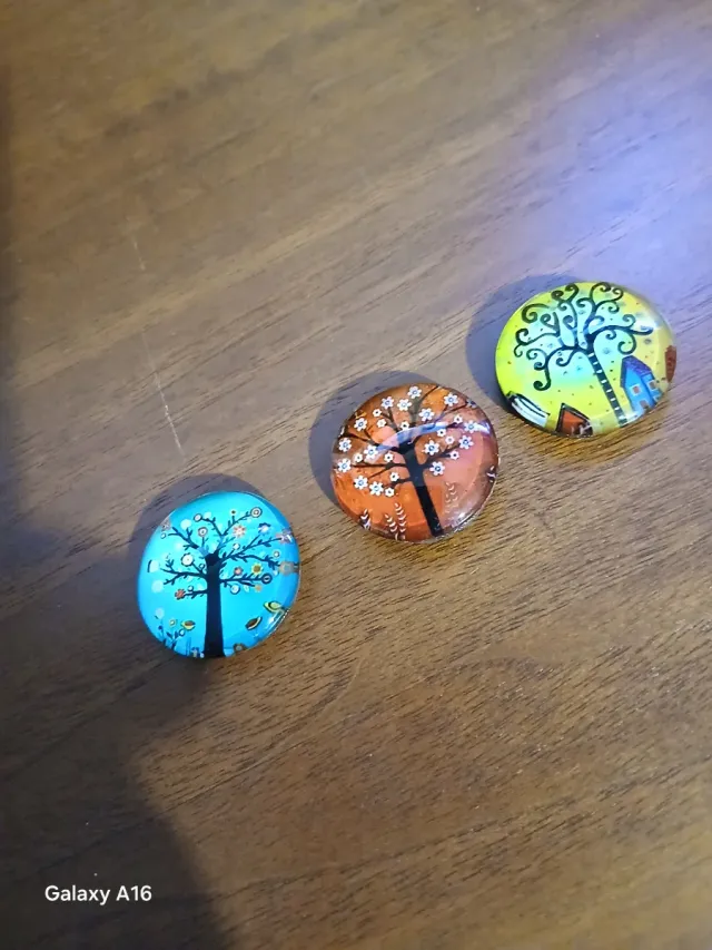 3 calamite decorative