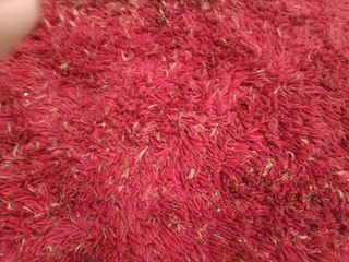 Alfombra de lana roja