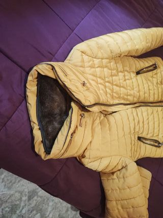 Chaqueta amarilla con cuello de pelo