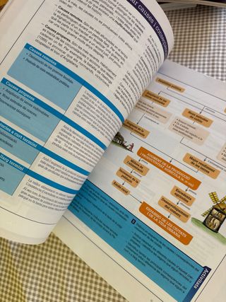 CIÈNCIES SOCIALS, GEOGRAFIA I HISTÒRIA 2