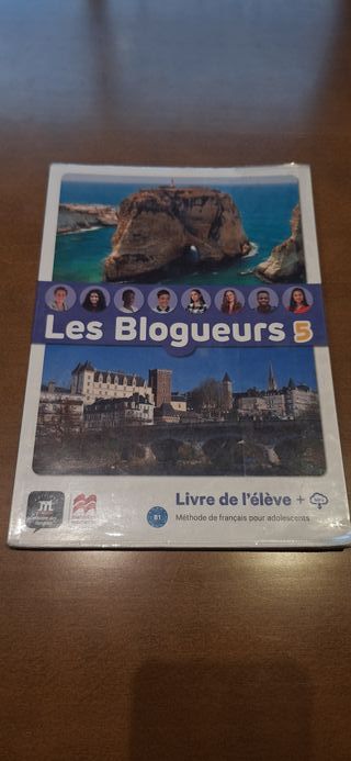 Les blogueurs