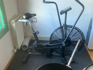 Assault Airbike Classic