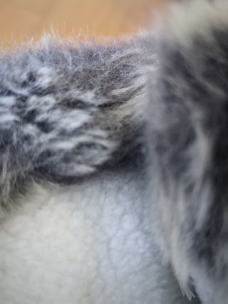 Botas de Nieve Quechua Talla X Azul/Gris