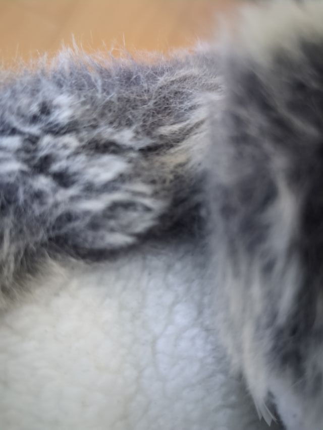 Botas de Nieve Quechua Talla X Azul/Gris