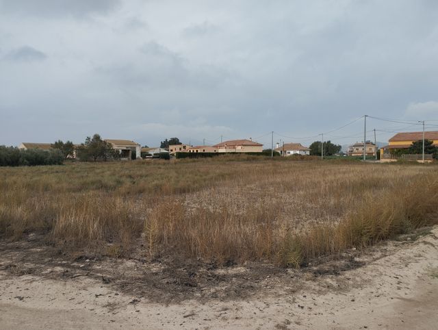 Parcela 5001 m2 Camino Condomina (Marchena/Lorca)