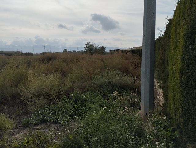 Parcela 5001 m2 Camino Condomina (Marchena/Lorca)