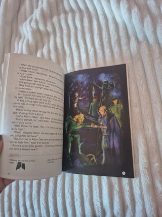 Robin Hood, mit 1 Audio-CD. Level 2 (A1/A2)