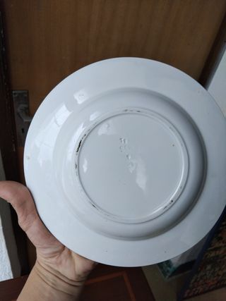 🇪🇦 Plato hondo Pickman porcelana