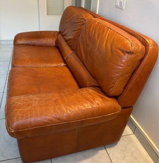 Sofá de piel de búfalo 2 plazas
