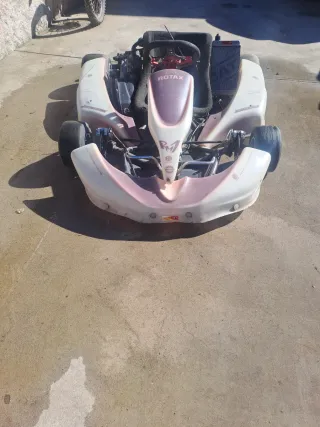 Se vende kart rotax max DD2