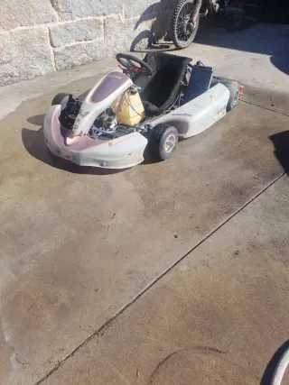 Se vende kart rotax max DD2