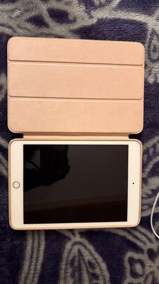 iPad Mini Dorado, con funda y cargador cable solo.