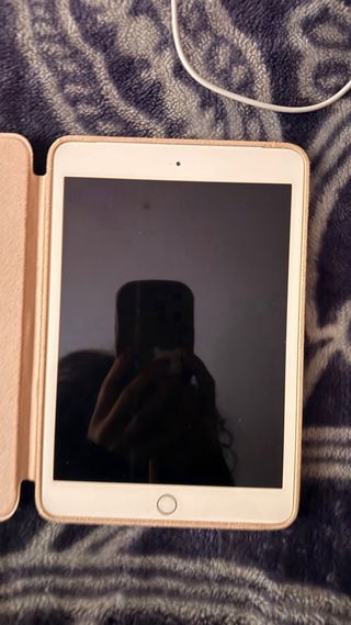 iPad Mini Dorado, con funda y cargador cable solo.