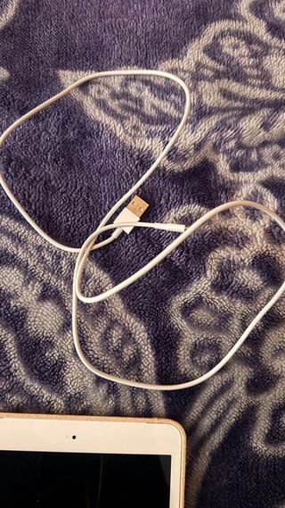 iPad Mini Dorado, con funda y cargador cable solo.