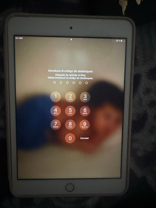 iPad Mini Dorado, con funda y cargador cable solo.