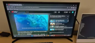 Ordenador HP All-in-One 21 Plata/Blanco