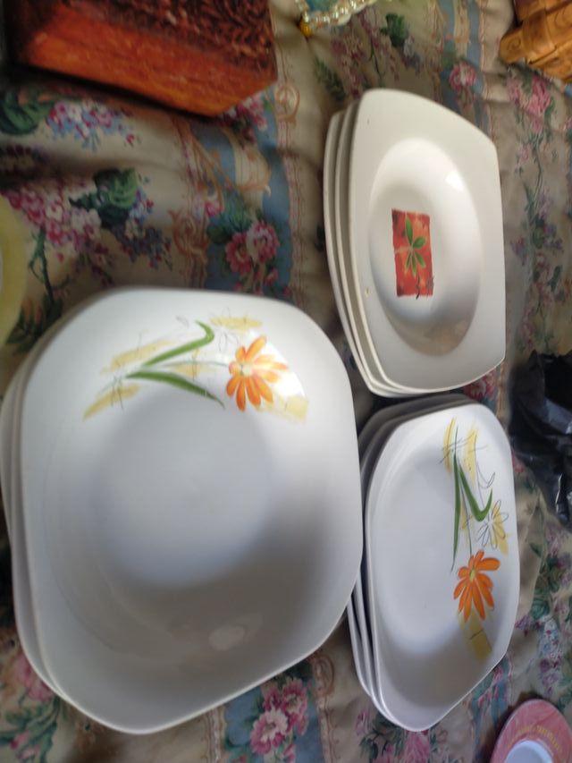 Platos de porcelana v25de (9 unidades)