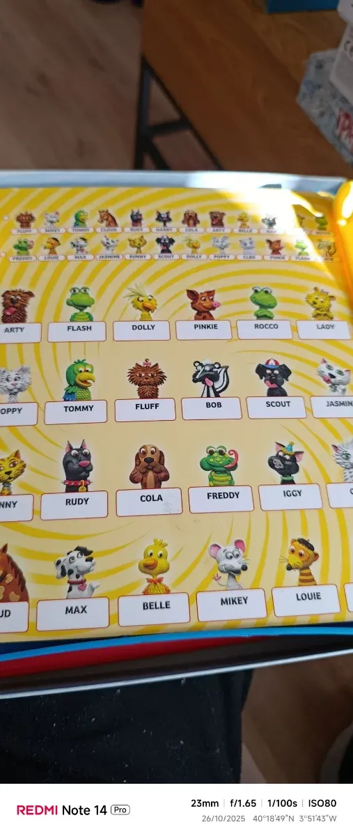 Juego ¿Quién es Quién? Quem é Quem?