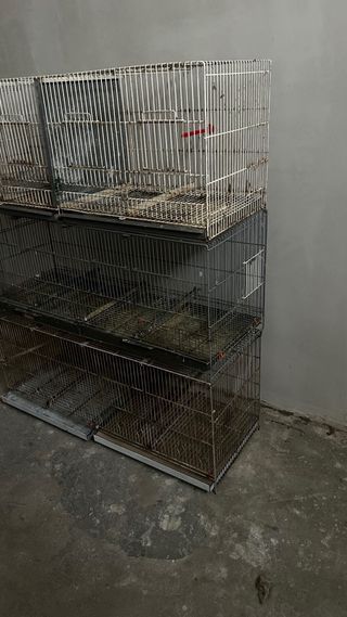 Jaula para pájaros grande multi-nivel de 1m