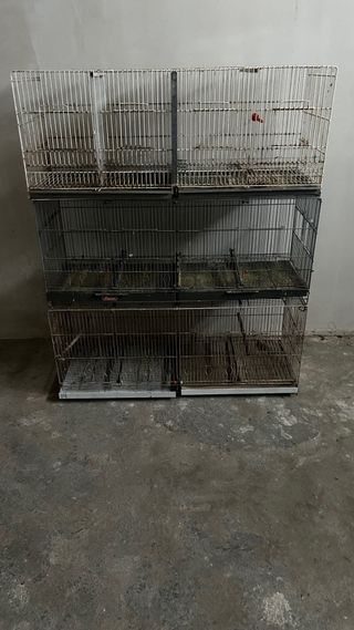 Jaula para pájaros grande multi-nivel de 1m