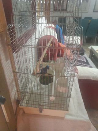 Jaula para ninfas plateada y blanco