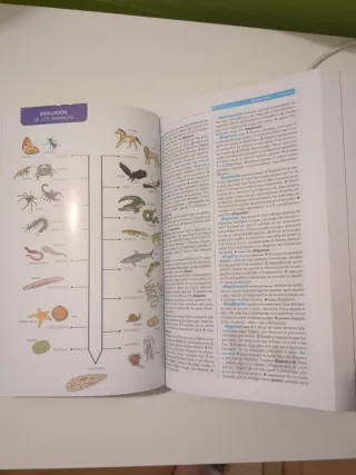 Diccionario Espasa de Primaria