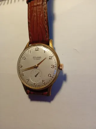 Reloj Duward Dorado y Marrón