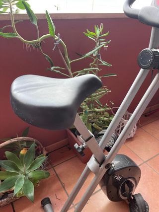 Bicicleta Estática Ultrasport F-Bike Plegable