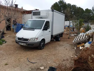 Mercedes-Benz 416 2005