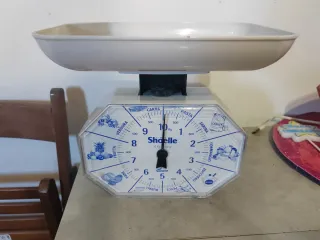 Bilancia da cucina Shoelle