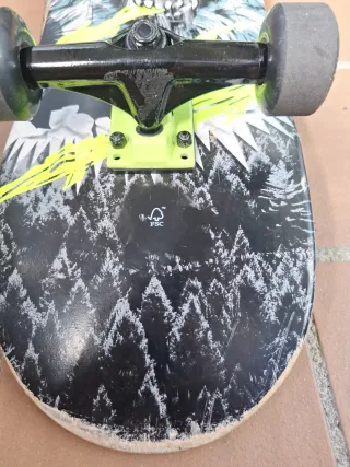 Tabla Skate Lobo Niños 8-12 Años