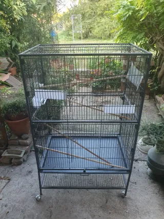 Gabbia voliera per uccelli nera