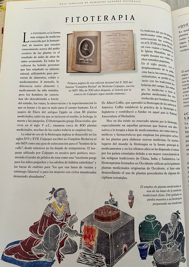 Guía familiar de remedios caseros naturales