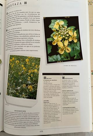 Guía familiar de remedios caseros naturales