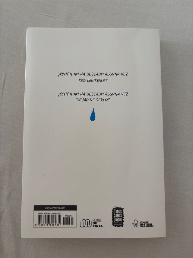 Invisible / Invisible (Spanish Edition)