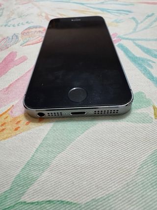 iPhone 5s 16GB Plata A1533