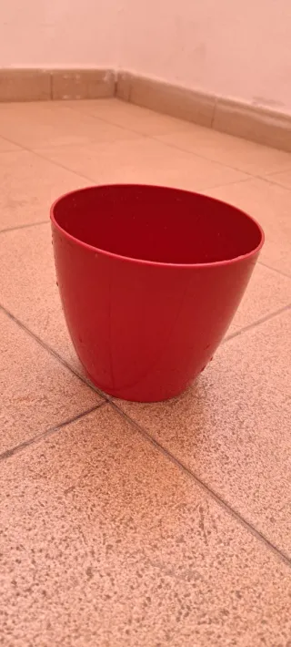 Maceta Orquídea Roja Plástico