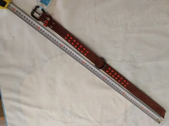 Collar para perro grande con tachuelas