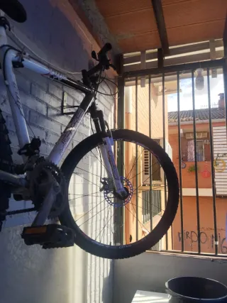 Bicicleta de montaña