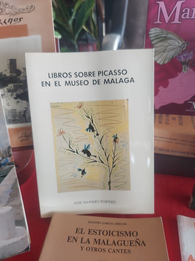 Libros  de Málaga