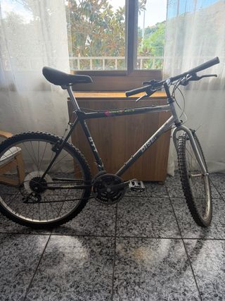 Bicicleta Rider Bike