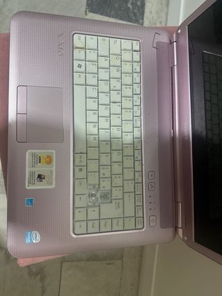Sony VAIO Notebook Rosa