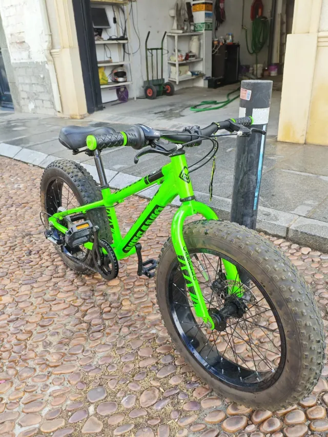 Bicicleta Megamo Fat Jungle