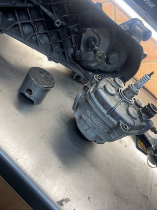 Motor Malossi 7T