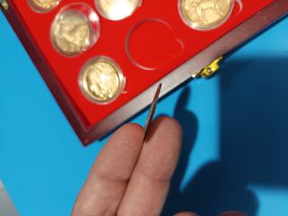 N 23 Láminas Zodiaco Chino Colección