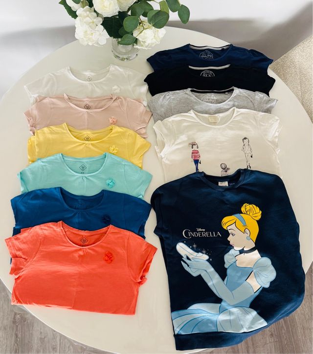 Lote 10 camisetas + Sudadera Cenicienta