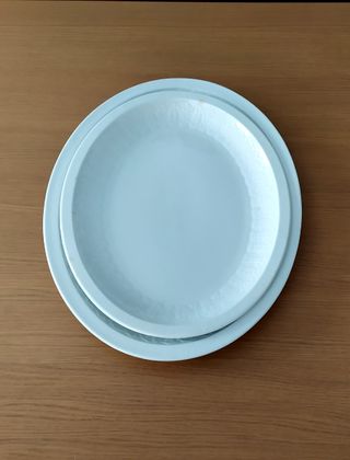 2 Fuentes porcelana Pontesa